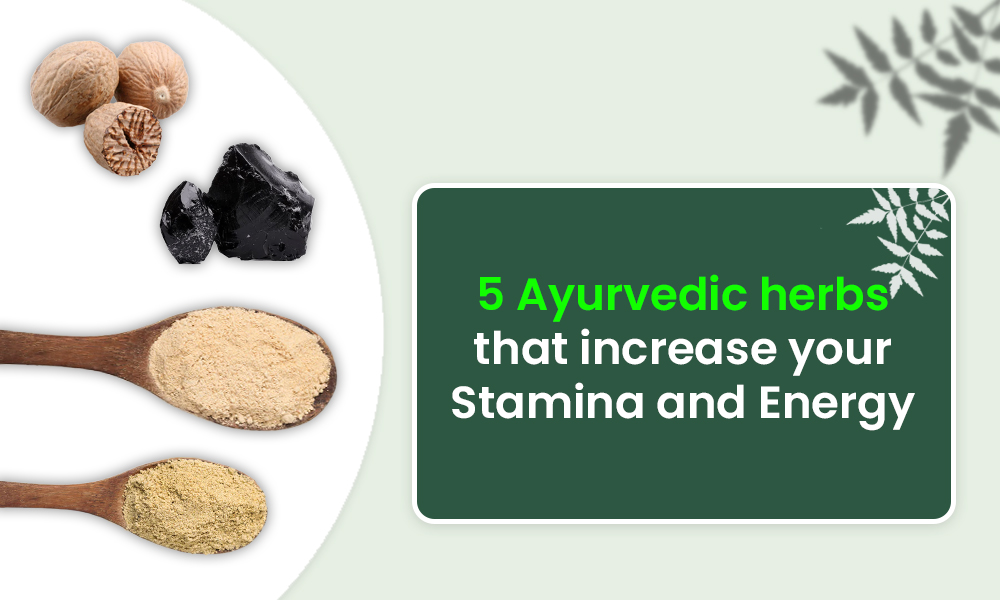 5 ?????????? ????-??????? ?? ?????? ??? ???? ???????? ?? ?????